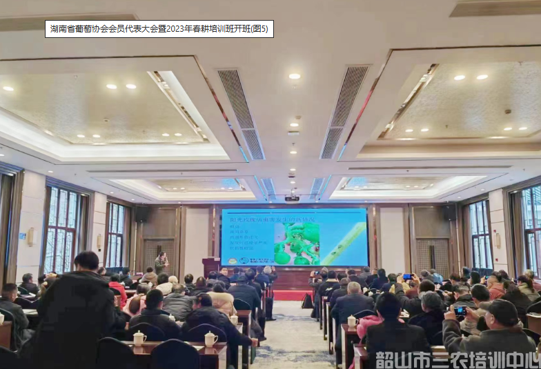 湖南省葡萄协会会员代表大会暨2023年春耕培训班开班(图5)