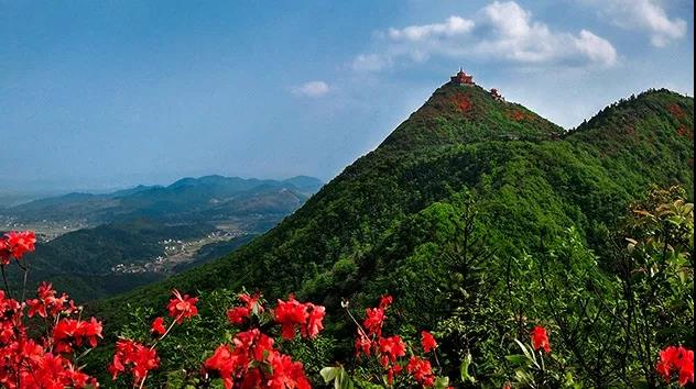 权威发布：韶山景区2020年对全国医务工作者实行免票！(图2)