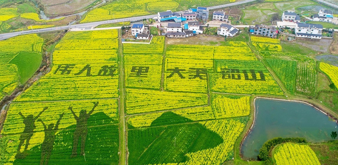 韶山市宏发农林生态科技发展有限公司(图1)