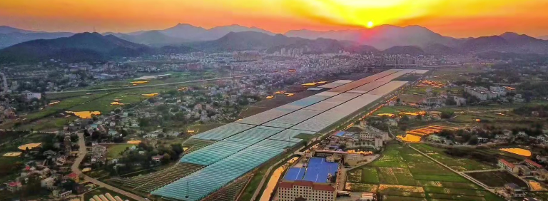韶山金景丰葡萄产业园(图1)
