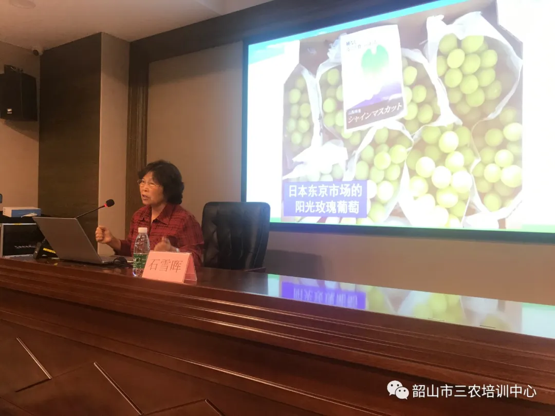 培育新型职业农民 助推乡村振兴——宁乡市农广校在我中心开展新型职业农民培育水果专题班(图9)