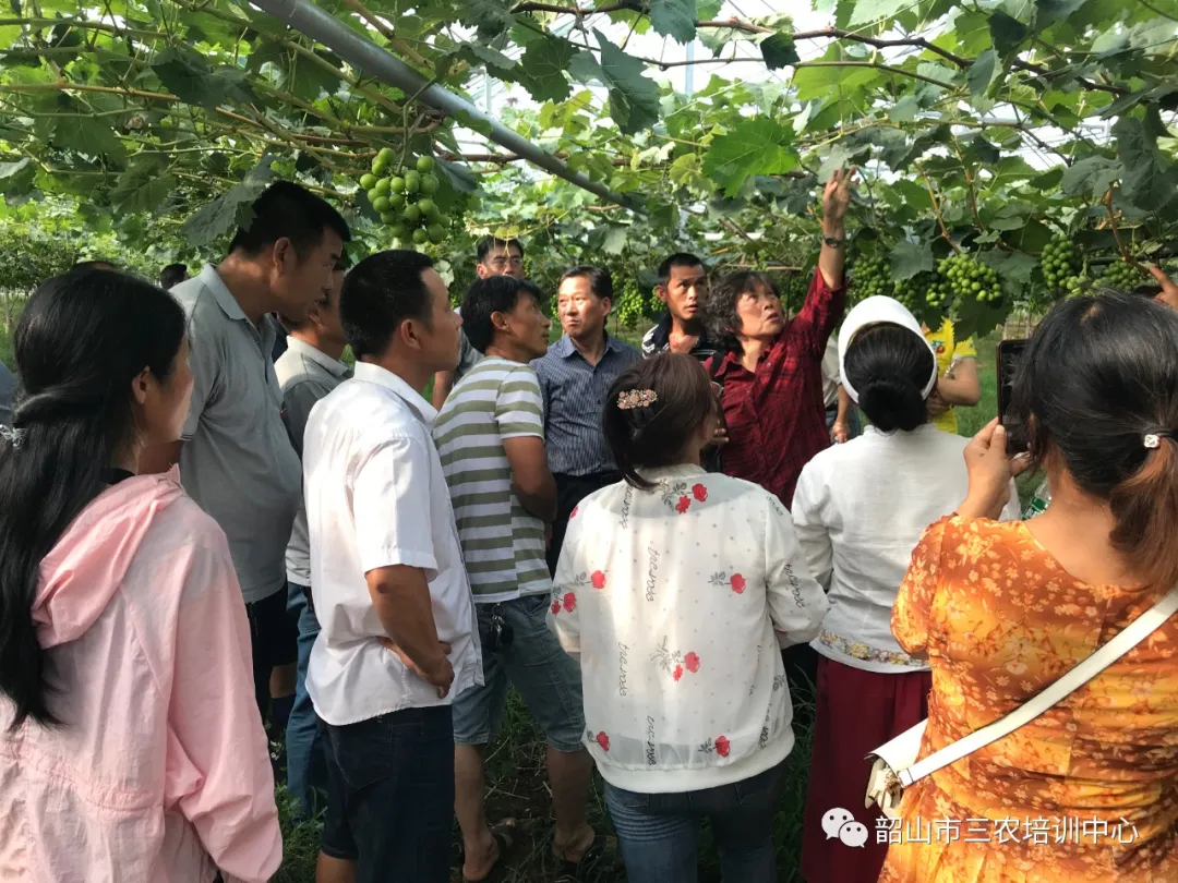 培育新型职业农民 助推乡村振兴——宁乡市农广校在我中心开展新型职业农民培育水果专题班(图11)