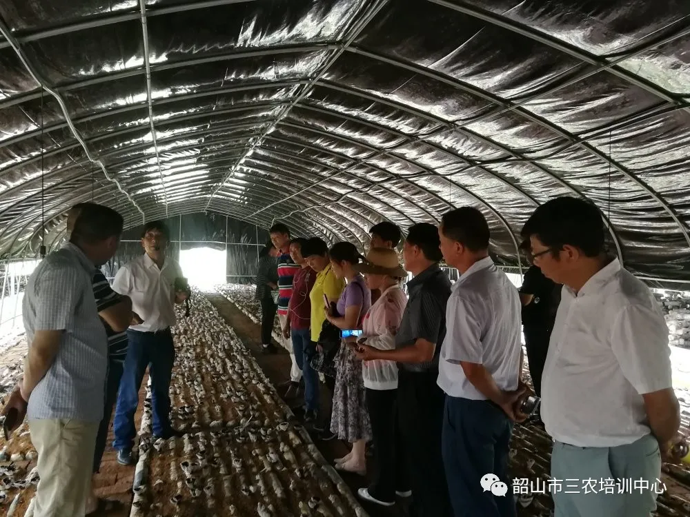 培育新型职业农民 助推乡村振兴——宁乡市农广校在我中心开展新型职业农民培育水果专题班(图14)