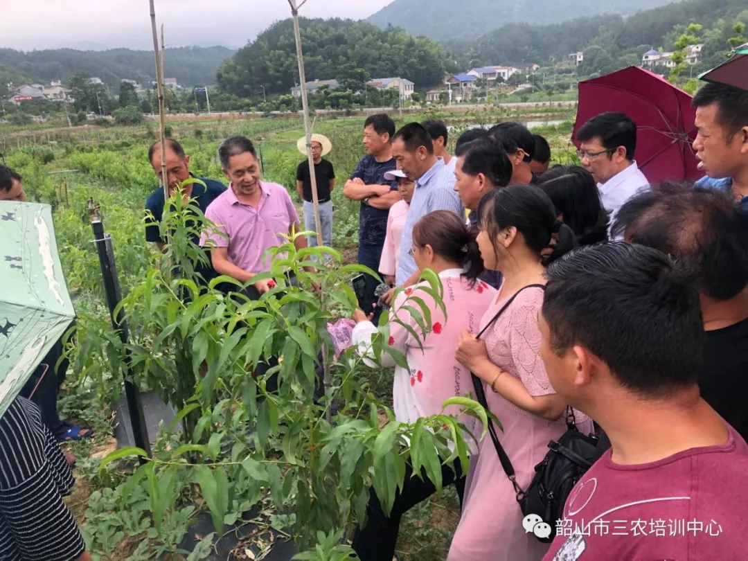 培育新型职业农民 助推乡村振兴——宁乡市农广校在我中心开展新型职业农民培育水果专题班(图16)