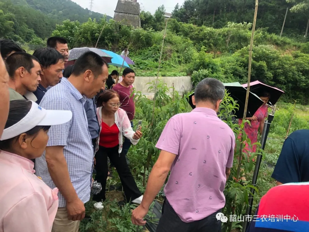 培育新型职业农民 助推乡村振兴——宁乡市农广校在我中心开展新型职业农民培育水果专题班(图17)