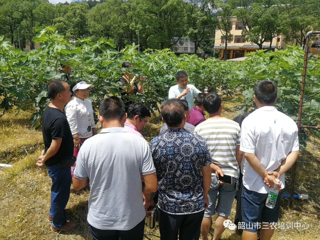 培育新型职业农民 助推乡村振兴——宁乡市农广校在我中心开展新型职业农民培育水果专题班(图19)