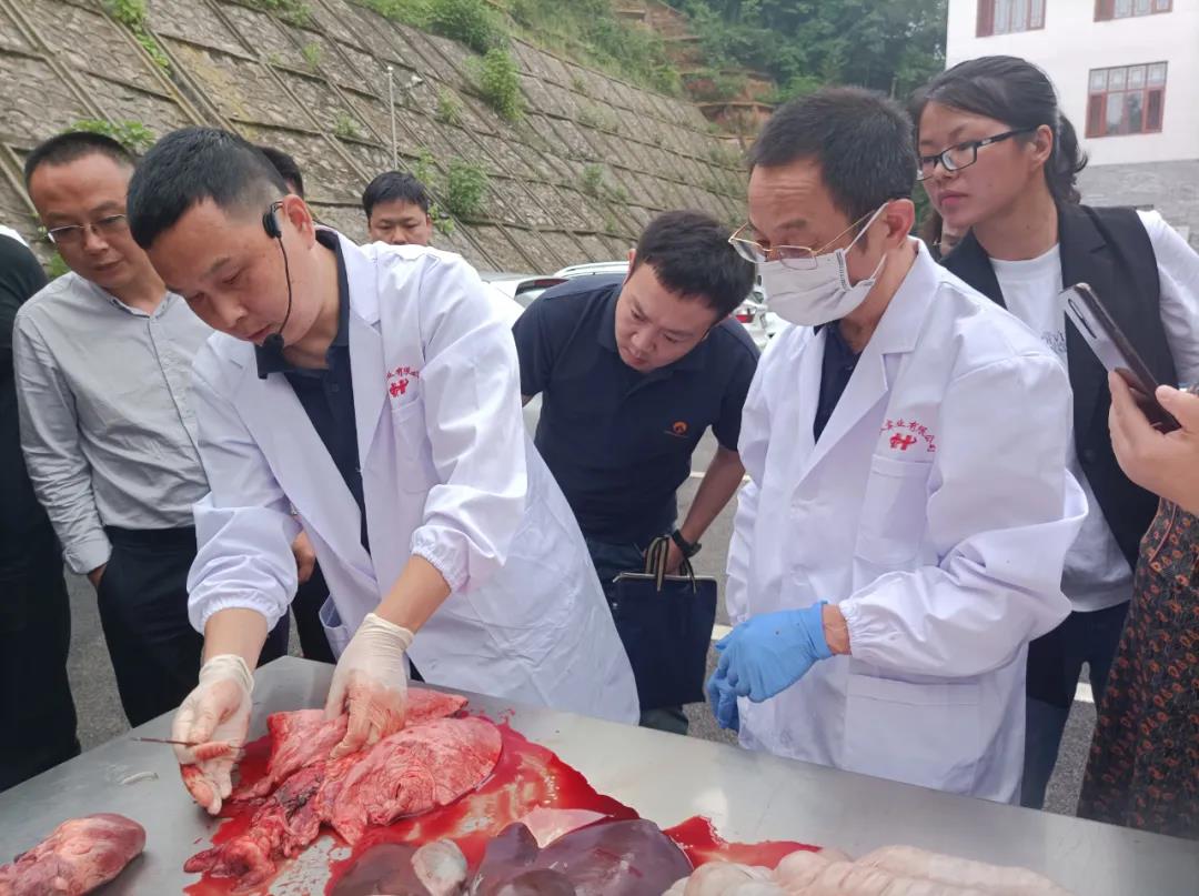 湖南“农广助农”工程优质湘猪产业领军人才培训班在湘潭韶山举办(图10)