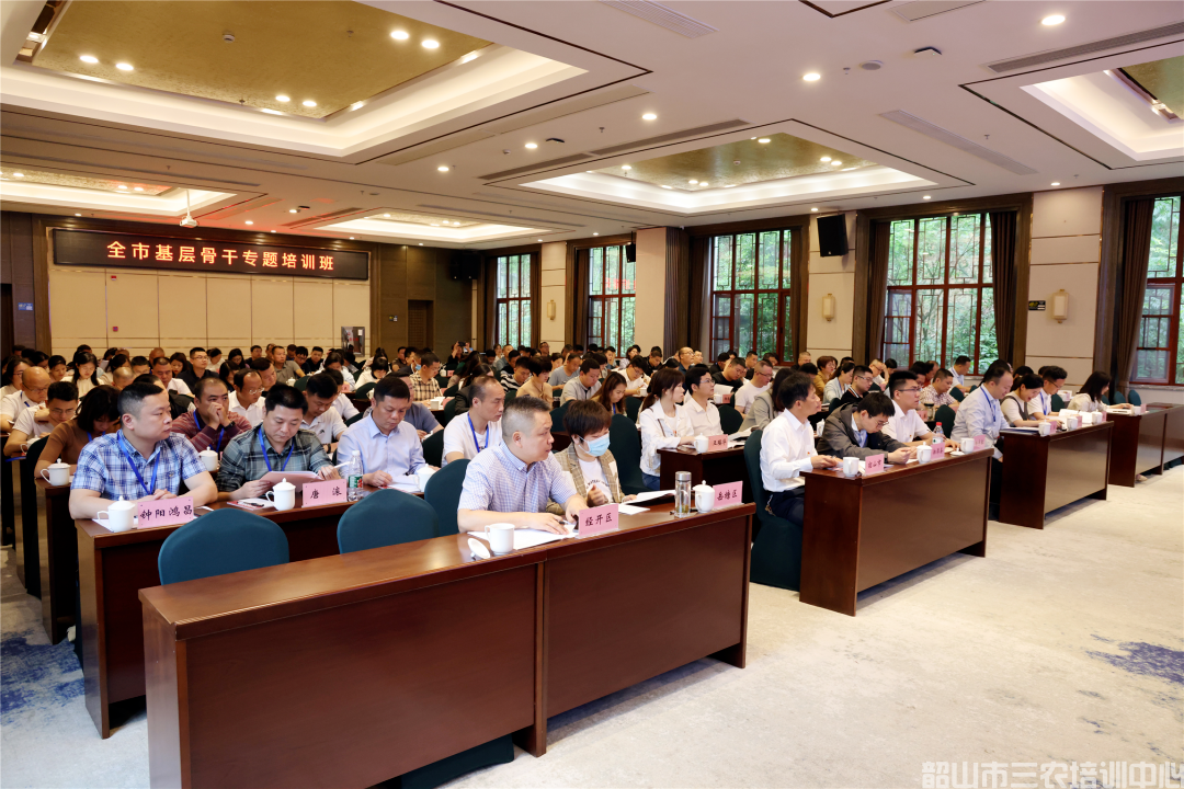 为基层干部赋能充电！全市基层骨干专题培训班开班(图3)