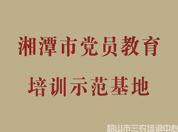 中心荣誉(图5)