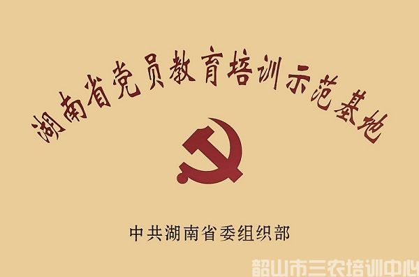 中心荣誉(图6)