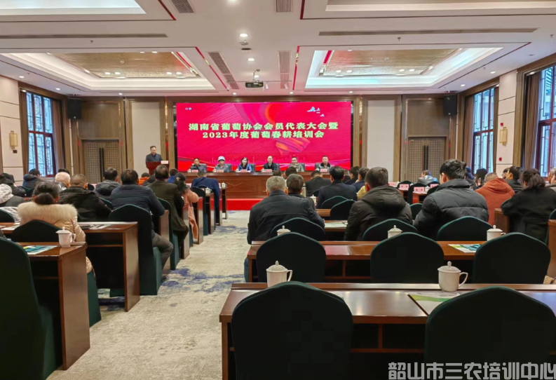 湖南省葡萄协会会员代表大会暨2023年春耕培训班开班(图1)