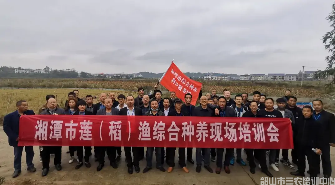 湖南“农广助农”工程湘潭莲（稻）渔综合种养产业领军人才培训班在我中心开班(图3)