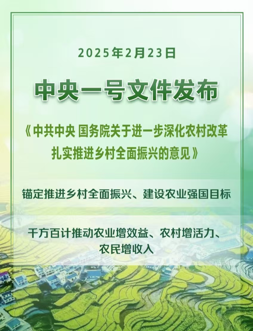 2025年中央一号文件发布提出扎实推进乡村全面振兴(图1)